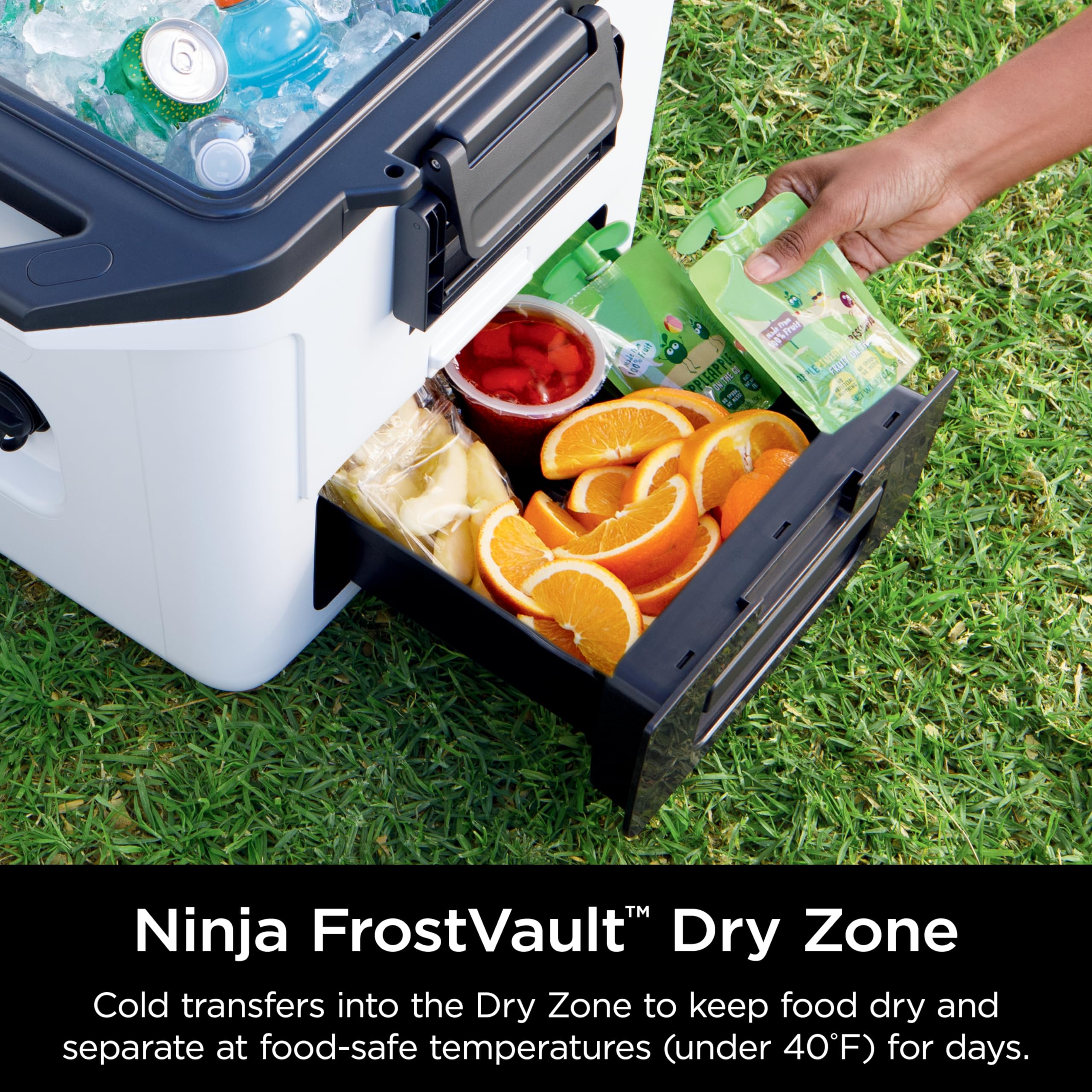 Ninja FB131WH FrostVault 30qt Hard Cooler with Dry Zone